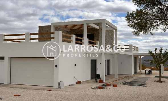 Obra Nueva - Chalet - Pinoso - Casas Pastor