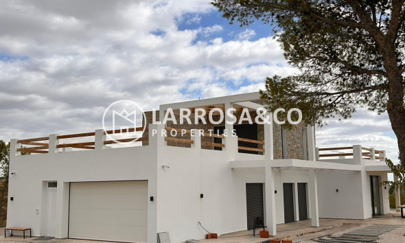 Obra Nueva - Chalet - Pinoso - Casas Pastor