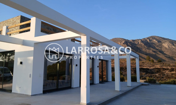 Obra Nueva - Chalet - Pinoso - Casas Pastor