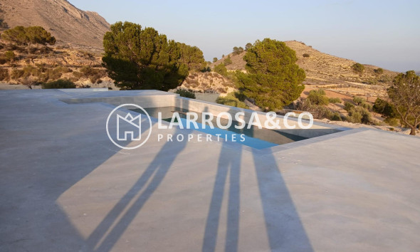 Obra Nueva - Chalet - Pinoso - Casas Pastor