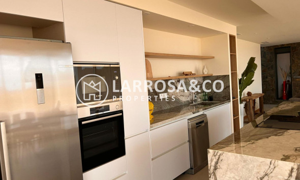 Obra Nueva - Chalet - Pinoso - Casas Pastor
