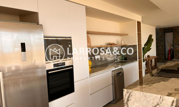 Obra Nueva - Chalet - Pinoso - Casas Pastor