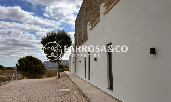 Obra Nueva - Chalet - Pinoso - Casas Pastor