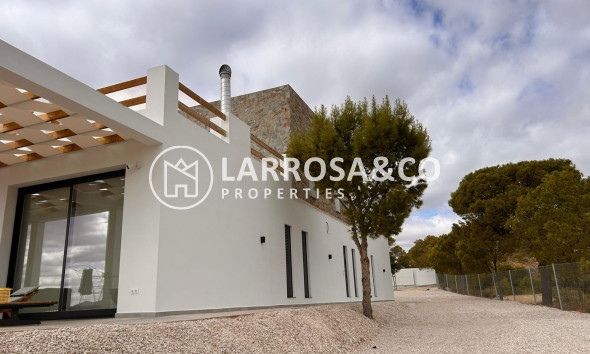 Obra Nueva - Chalet - Pinoso - Casas Pastor