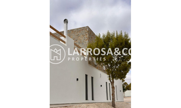 Obra Nueva - Chalet - Pinoso - Casas Pastor