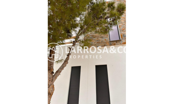 Obra Nueva - Chalet - Pinoso - Casas Pastor