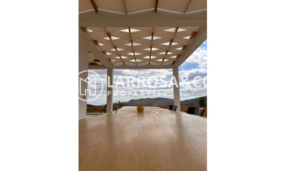Obra Nueva - Chalet - Pinoso - Casas Pastor