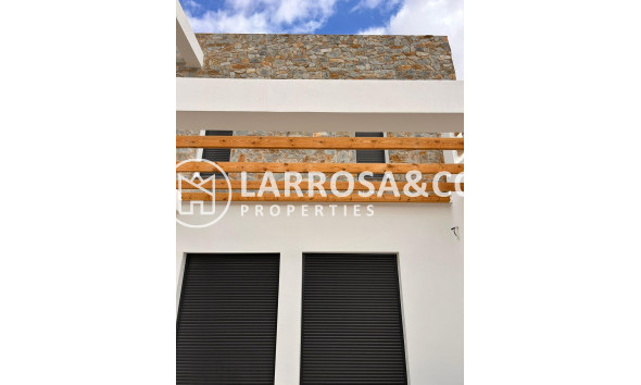 Obra Nueva - Chalet - Pinoso - Casas Pastor