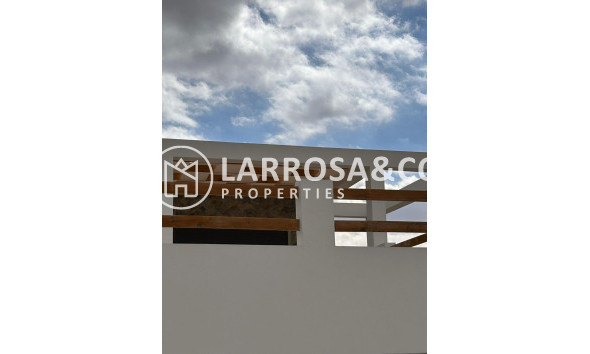 Obra Nueva - Chalet - Pinoso - Casas Pastor