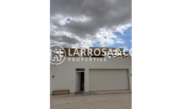 Obra Nueva - Chalet - Pinoso - Casas Pastor