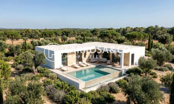 New build - Detached House/Villa - Pinoso - Casas Pastor