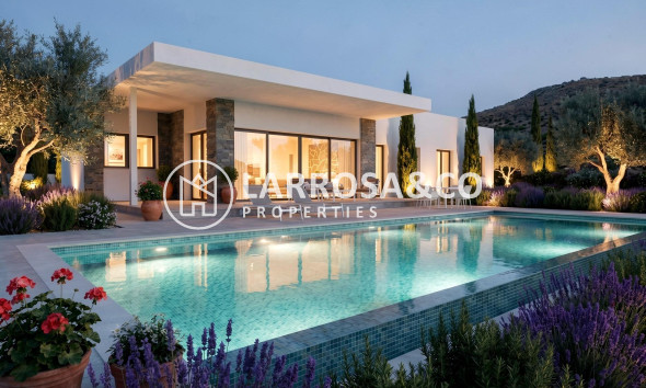 New build - Detached House/Villa - Pinoso - Casas Pastor