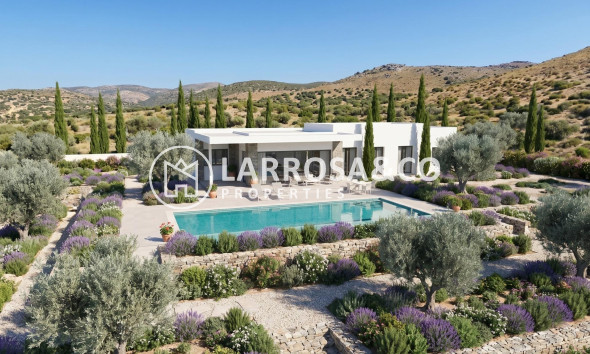 New build - Detached House/Villa - Pinoso - Casas Pastor