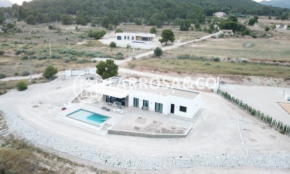 New build - Detached House/Villa - Pinoso - Casas Pastor