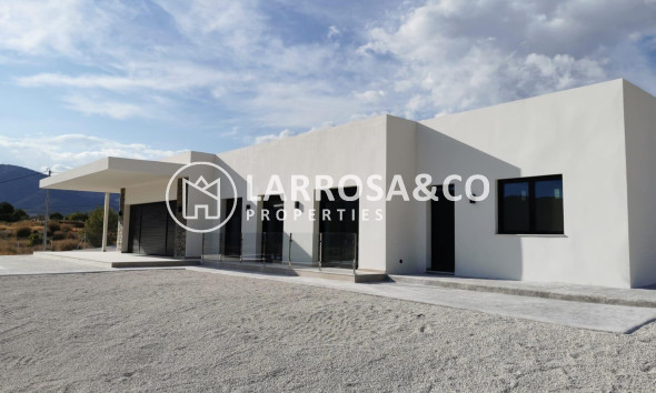 New build - Detached House/Villa - Pinoso - Casas Pastor