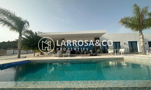 New build - Detached House/Villa - Pinoso - Casas Pastor