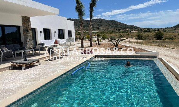 New build - Detached House/Villa - Pinoso - Casas Pastor