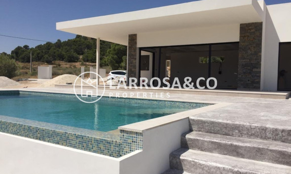 New build - Detached House/Villa - Pinoso - Casas Pastor