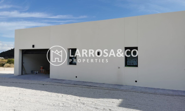 New build - Detached House/Villa - Pinoso - Casas Pastor