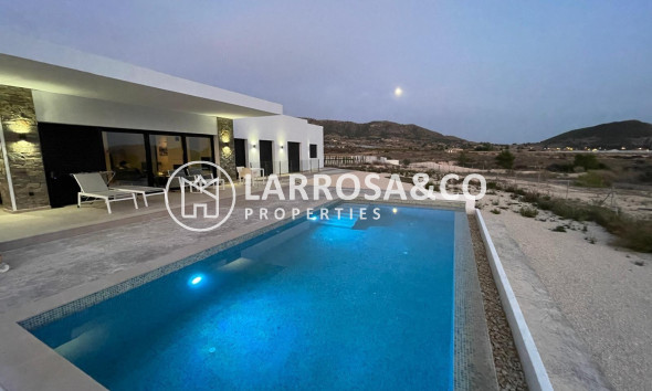 New build - Detached House/Villa - Pinoso - Casas Pastor