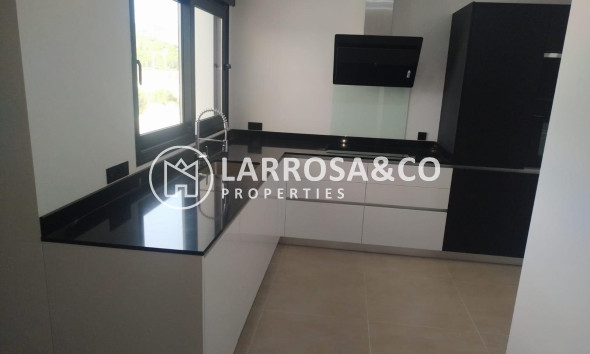 New build - Detached House/Villa - Pinoso - Casas Pastor