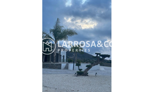 New build - Detached House/Villa - Pinoso - Casas Pastor