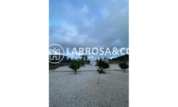 New build - Detached House/Villa - Pinoso - Casas Pastor