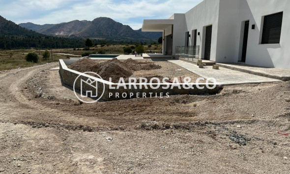 New build - Detached House/Villa - Pinoso - Casas Pastor