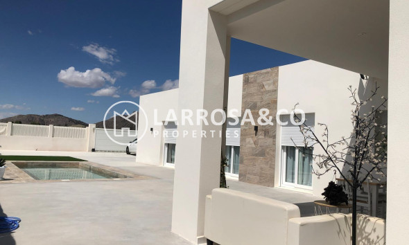 New build - Detached House/Villa - Pinoso - Casas Pastor