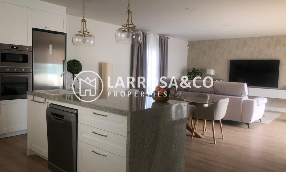 New build - Detached House/Villa - Pinoso - Casas Pastor