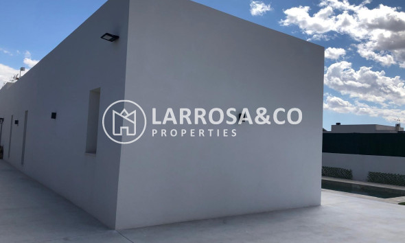 New build - Detached House/Villa - Pinoso - Casas Pastor