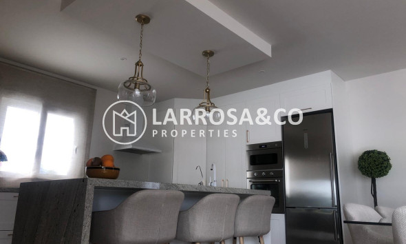 New build - Detached House/Villa - Pinoso - Casas Pastor