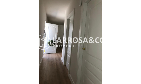 New build - Detached House/Villa - Pinoso - Casas Pastor