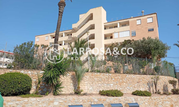Вторичный рынок - Квартира - Mil Palmeras - Costa Blanca