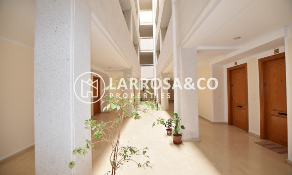 Herverkoop - Apartment - La Mata - Costa Blanca