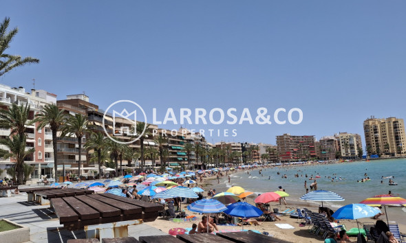 Вторичный рынок - Квартира - Торревьеха - torrevieja