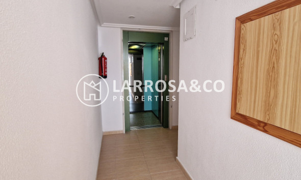 Herverkoop - Apartment - Guardamar del Segura - Costa Blanca