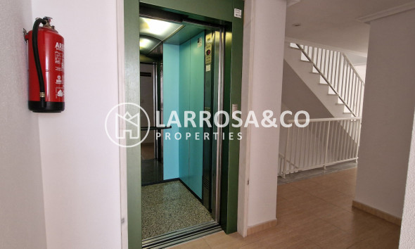 Herverkoop - Apartment - Guardamar del Segura - Costa Blanca