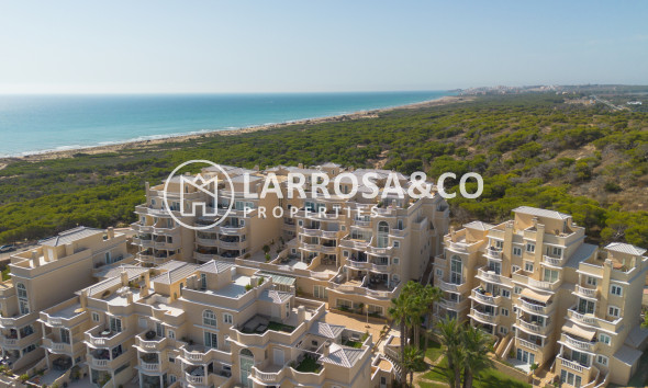 Resale - Apartment - Guardamar del Segura - Costa Blanca