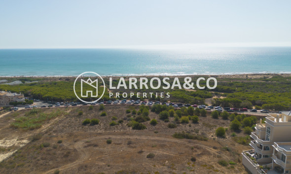 Resale - Apartment - Guardamar del Segura - Costa Blanca