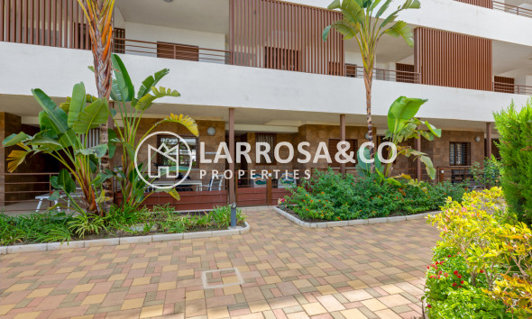 Resale - Apartment - Cabo Roig - Costa blanca