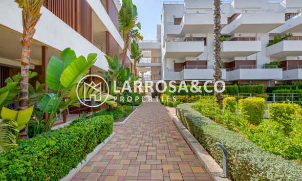 Resale - Apartment - Cabo Roig - Costa blanca