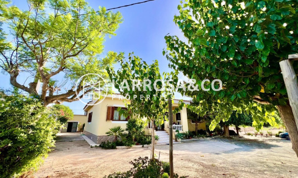 Resale - Detached House/Villa - Daya Vieja - Costa Blanca Sur