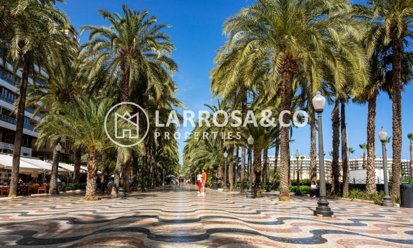 Resale - Apartment - Alicante - Costa Blanca
