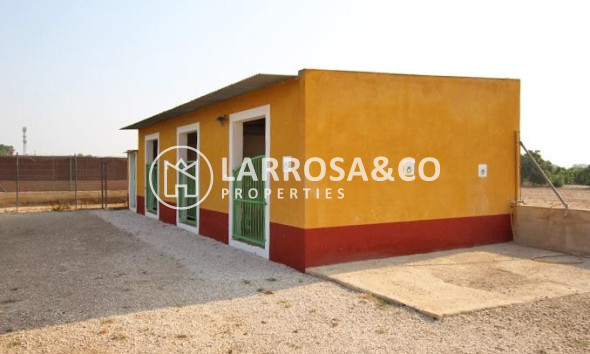 Herverkoop - Country house - Daya Nueva - Comunidad valenciana