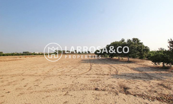 Herverkoop - Country house - Daya Nueva - Comunidad valenciana