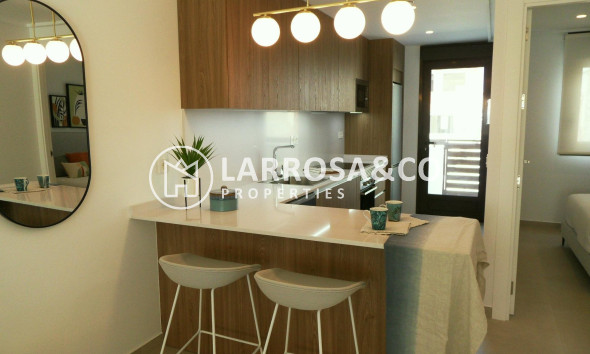 New build - Detached House/Villa - Pilar de la Horadada - El Pilar de la Horadada