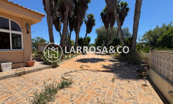 Resale - Country house - Dolores - Comunidad valenciana