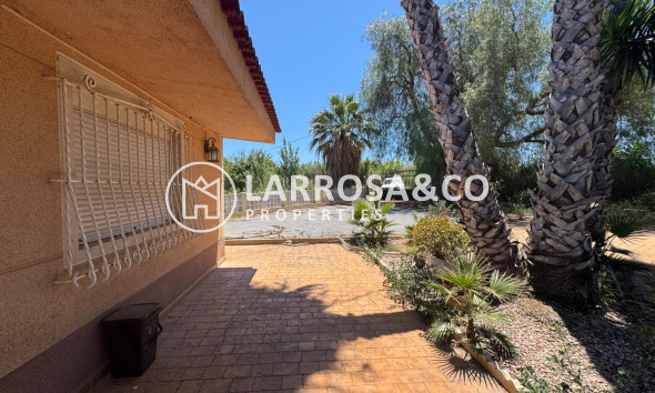 Resale - Country house - Dolores - Comunidad valenciana