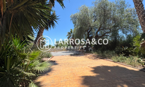 Resale - Country house - Dolores - Comunidad valenciana